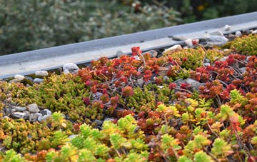 the cost of Beaumaris green roof installation